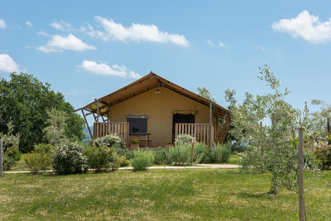 Agriturismo L'Antica Fornace Peccioli Dış mekan fotoğraf